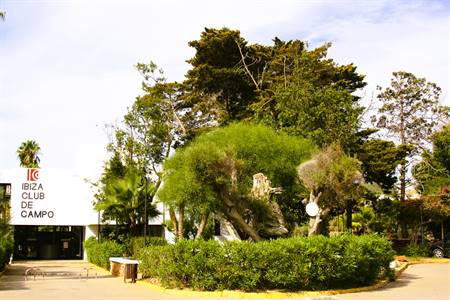 Entrada ppal 2.JPG